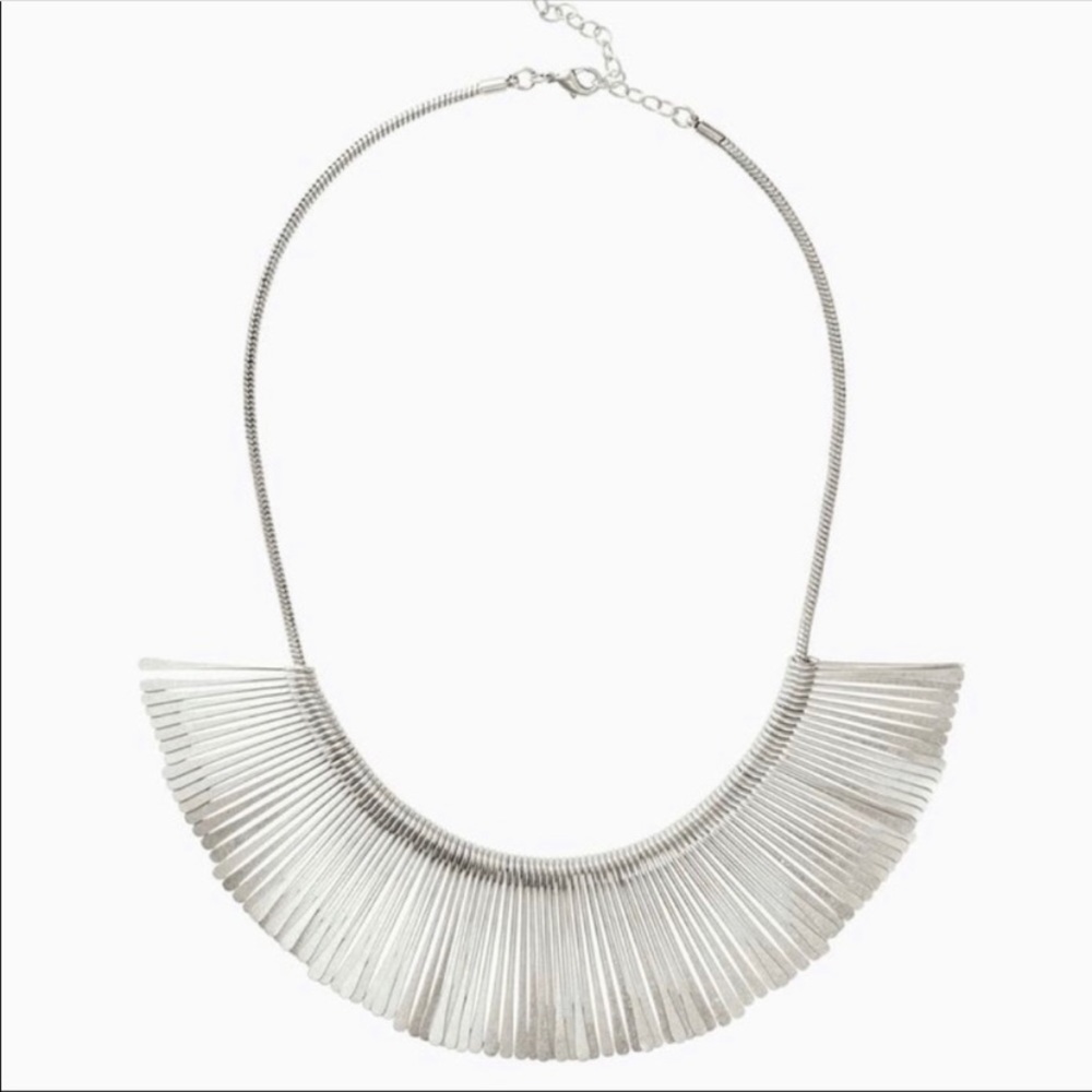 Stella & Dot Silver Essential Fringe Necklace